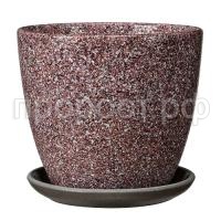 Сахара бордовый крокус Сахара бордовый крокус