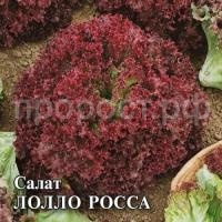 Салат Лолло Росса