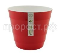 лаура (1) лаура (1)