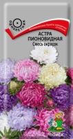 Астра пионовидная Смесь окрасок