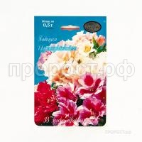 Годеция Свадебный букет смесь 20 0,5 Каприс Годеция Свадебный букет смесь 20 0,5 Каприс