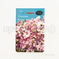 Гипсофила розовая Розовое облако 201 Каприс