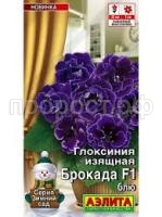 Без названия (12)