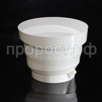 Акцент белый Акцент белый