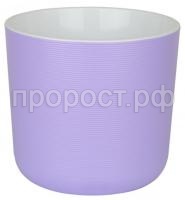 лион лаванда