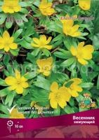 vesennik_zimni_kaper vesennik_zimni_kaper