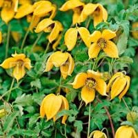 Без названия (1)