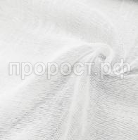 +вапвап +вапвап