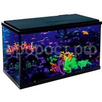 З179258_0 З179258_0