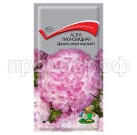 Астра-пионовидная-Дюшес-роуз-энд-вайт-0,3г-Поиск Астра-пионовидная-Дюшес-роуз-энд-вайт-0,3г-Поиск