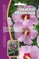 гибискус сирийский