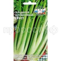 selderej-hrust-chereshkovyj-1