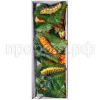 гусеница на лист гусеница на лист