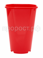 Роза (4) Роза (4)