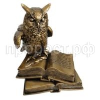 сова на книгах