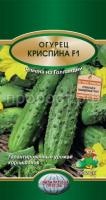 Огурец Криспина Огурец Криспина