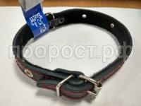 WhatsApp Image 2018-10-24 at 12.24.38(1) WhatsApp Image 2018-10-24 at 12.24.38(1)