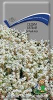 Седум белый Белый мох
