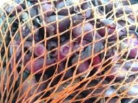 a9t0q2e846t12azix7lwuep2zyazczrw