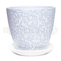 Маджента белый крокус Маджента белый крокус