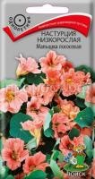 Настурция низкорослая Малышка лососевая Настурция низкорослая Малышка лососевая