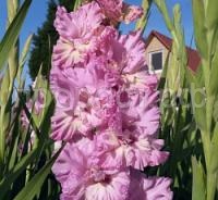 7379f068_c9ff_11f0_b2c5_ac1f6b73e423_b1e025ef_e18e_11f0_b2cb_ac1f6b73e423.resize2