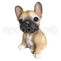 щенок француз