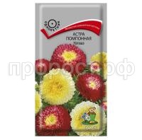 Астра-помпонная-Наташа-0,3г-Поиск Астра-помпонная-Наташа-0,3г-Поиск