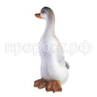 гусь705 гусь705