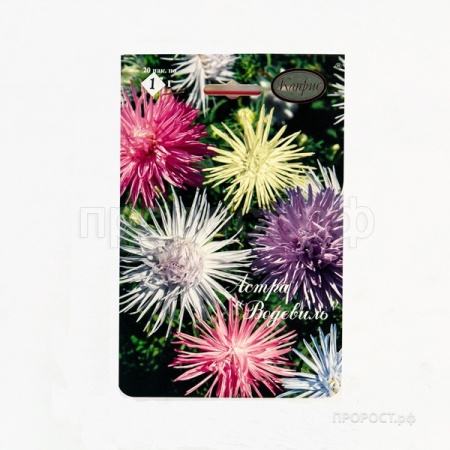 Астра смесь Водевиль низкорослая 20*1 Астра смесь Водевиль низкорослая 20*1