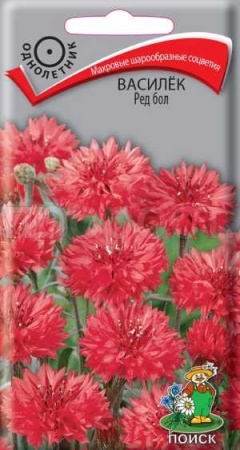 Василек Ред бол 1г Василек Ред бол 1г