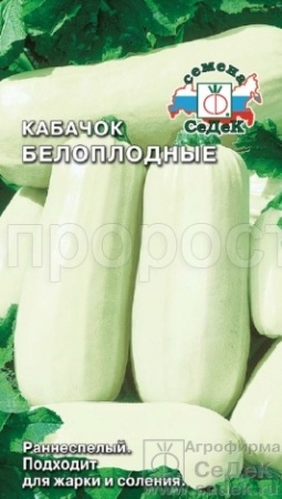Седек Кабачок Белоплодные 2г