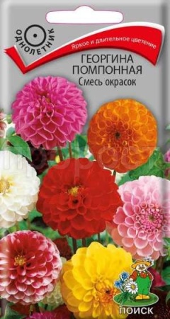 Георгина помпонная Смесь окрасок 0,3г