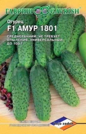 Огурец Амур 1801 F1 5шт