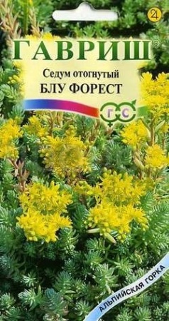Седум отогнутый Блу Форест 0,01г  Седум отогнутый Блу Форест 0,01г