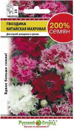 Гвоздика Китайская русский размер Гвоздика Китайская русский размер
