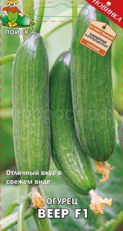 Поиск Огурец Веер F1 12шт
