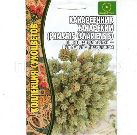 Редкие растения Канареечник Канарский 0,2г