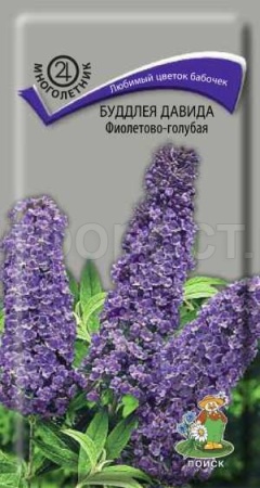 Буддлея Давида фиолетово-голубая 0,01г Буддлея Давида фиолетово-голубая 0,01г