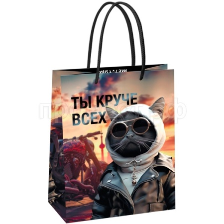 Пакет подарочный 18*23*10см "Cool guy" глянцевая ламинация MESHU/Рельеф