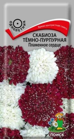Скабиоза тёмно-пурпурная Пламенное сердце 10 шт Скабиоза тёмно-пурпурная Пламенное сердце 10 шт