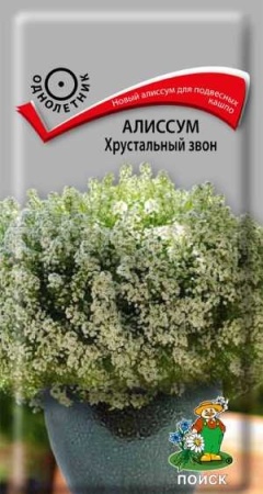 Алиссум Хрустальный звон 20шт Алиссум Хрустальный звон 20шт