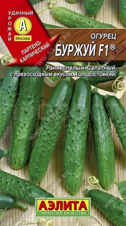 Огурец Буржуй F1 10шт