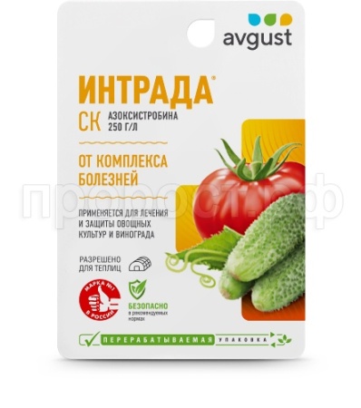 Интрада 10мл Август 80шт