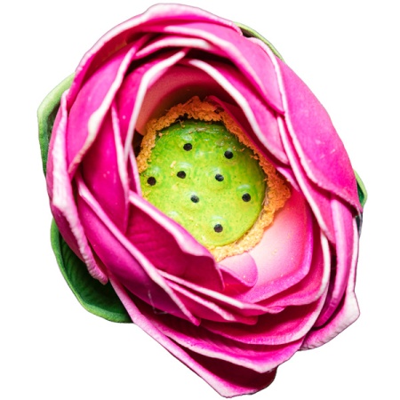 Плав.цветок Лотос 62715 Плав.цветок Лотос 62715