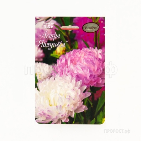 Астра Яблунёва 20*0,5  Астра Яблунёва 20*0,5