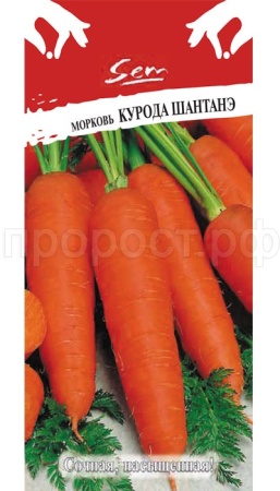 Морковь Курода Шантанэ 2г