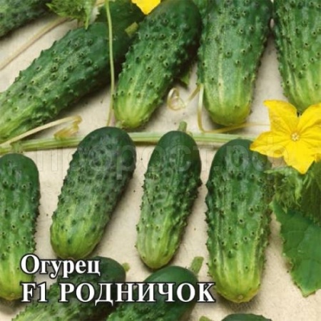 Огурец Родничок F1 10 г