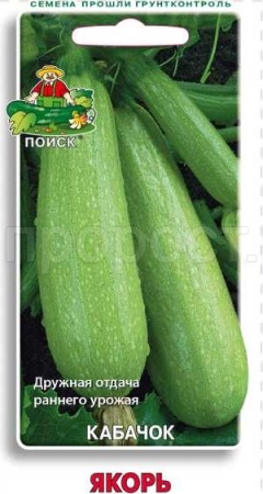 Поиск Кабачок Якорь 12шт