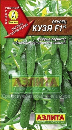 Аэлита Огурец Кузя F1 10шт